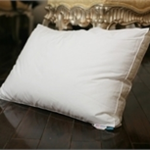 Ruột gối bông MICRO 45 x 65
